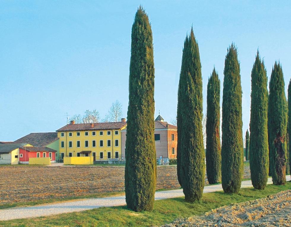 Bb Mambrotta San Martino Buon Albergo Exterior foto